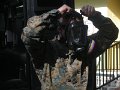 DSCN2338